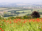 Natural Environment Adaptation workshop