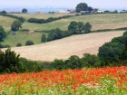 Farming landscape, Leicestershire